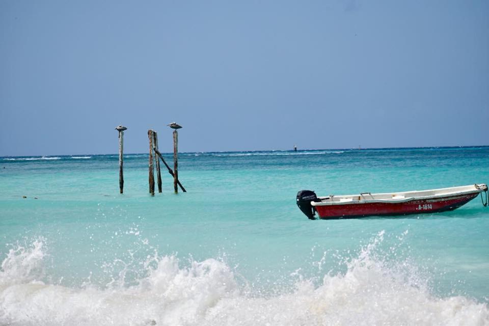 סבאנטה Palmhouse Apartments Aruba 1- 4 Persons מראה חיצוני תמונה