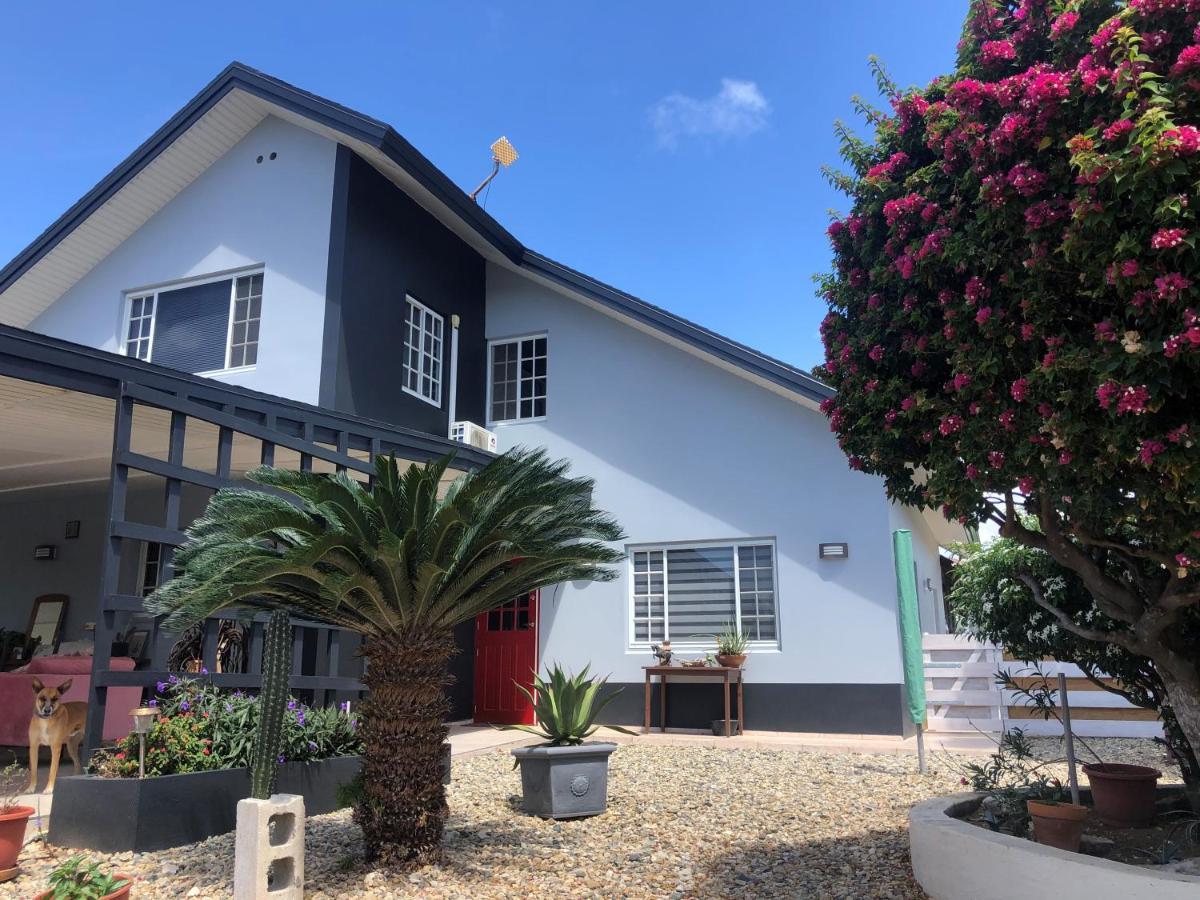 סבאנטה Palmhouse Apartments Aruba 1- 4 Persons מראה חיצוני תמונה