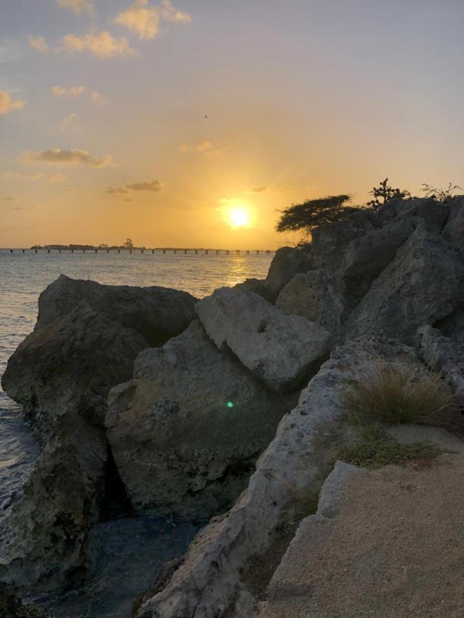 סבאנטה Palmhouse Apartments Aruba 1- 4 Persons מראה חיצוני תמונה