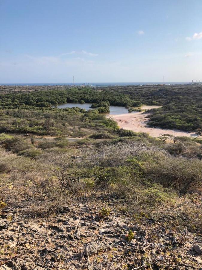 סבאנטה Palmhouse Apartments Aruba 1- 4 Persons מראה חיצוני תמונה