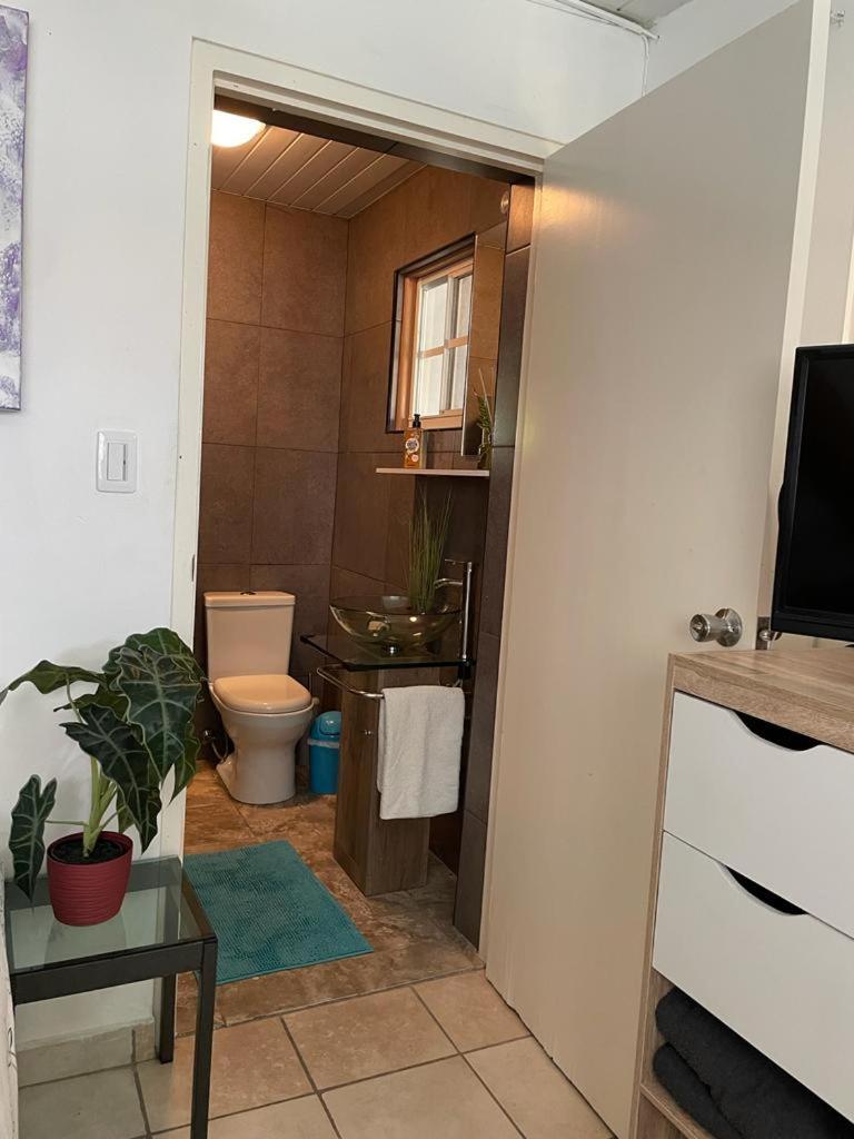 סבאנטה Palmhouse Apartments Aruba 1- 4 Persons מראה חיצוני תמונה