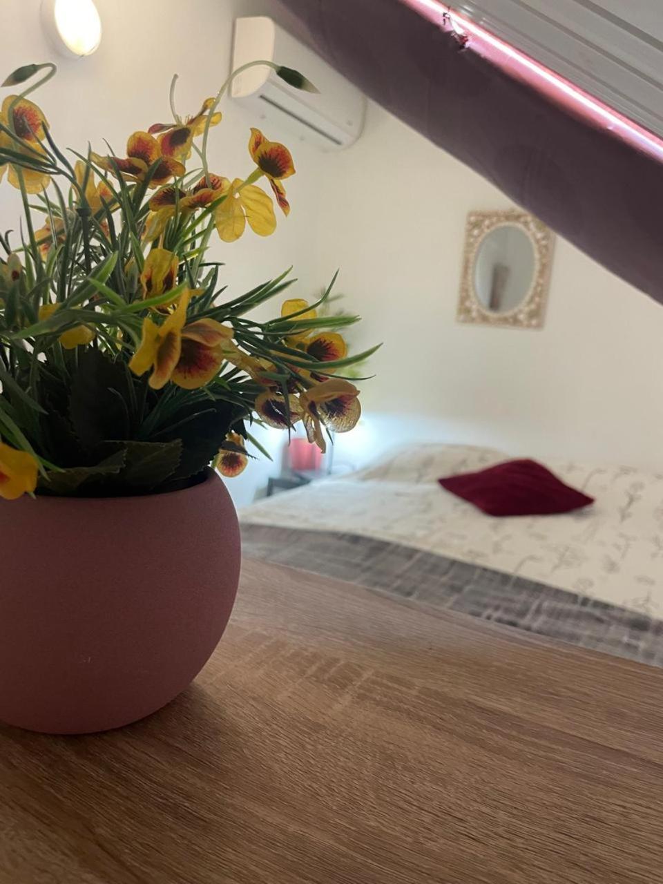 סבאנטה Palmhouse Apartments Aruba 1- 4 Persons מראה חיצוני תמונה