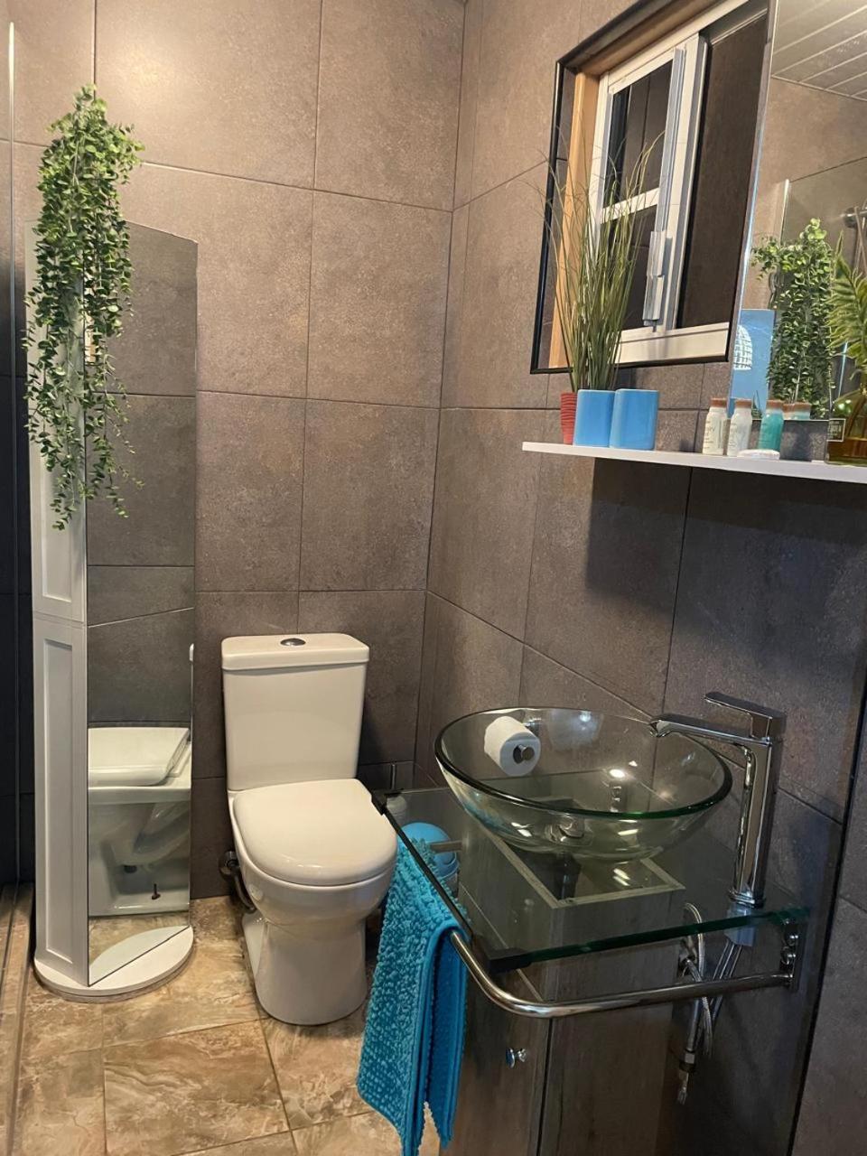 סבאנטה Palmhouse Apartments Aruba 1- 4 Persons מראה חיצוני תמונה